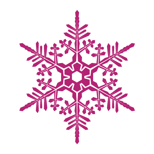 Winterberry Essential Oil | doTERRA Essential Oils